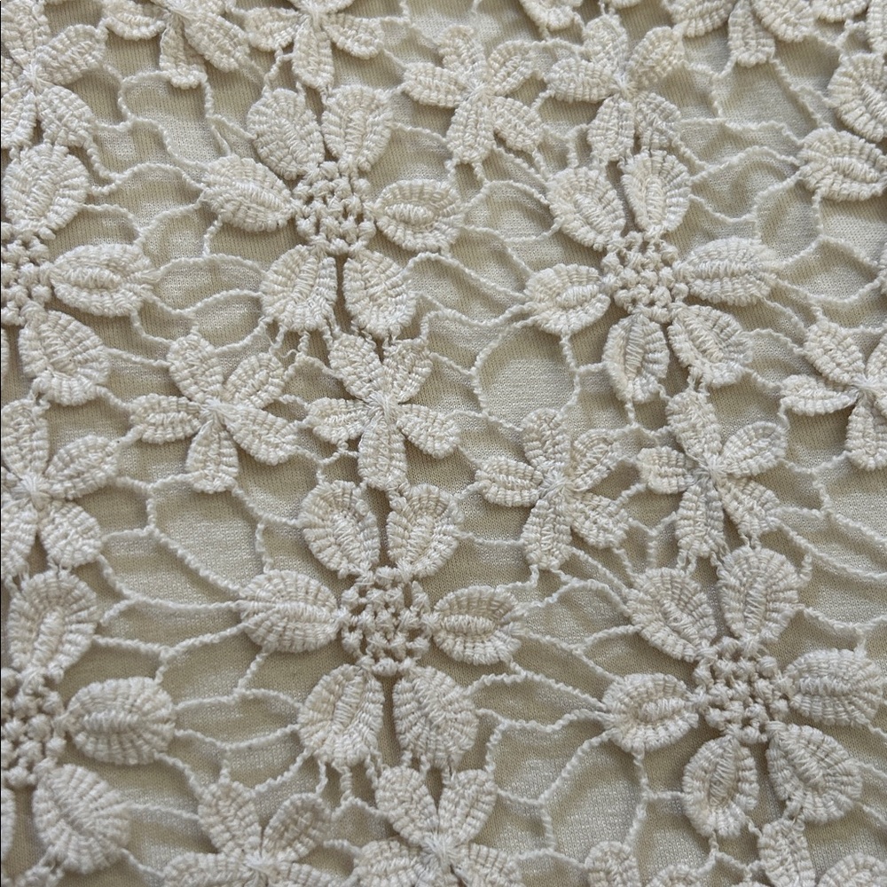 BAILEY44 Creme Lace Dress Size Small - Picture 8 of 11